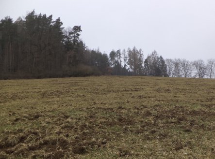 Prodej pozemku, zemědělská půda, 9 983 m²
