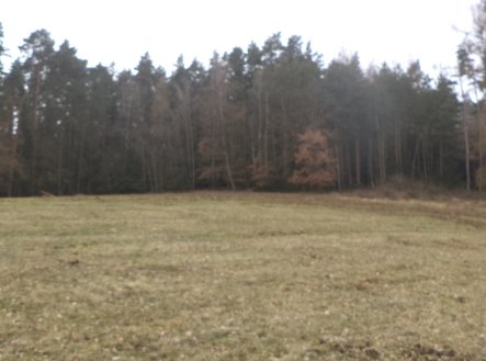 Prodej pozemku, zemědělská půda, 9 983 m²