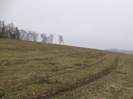Prodej pozemku, zemědělská půda, 9 983 m²