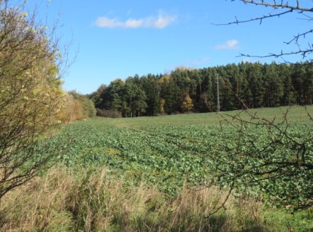 Prodej pozemku, zemědělská půda, 9 691 m²
