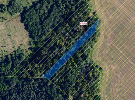 Prodej pozemku, les, 1 686 m²