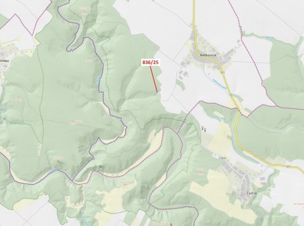 Prodej pozemku, les, 907 m² obrázek