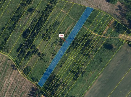 Prodej pozemku, les, 6 645 m²
