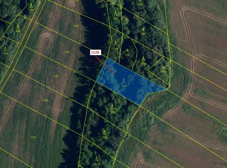Prodej pozemku, les, 1 191 m²