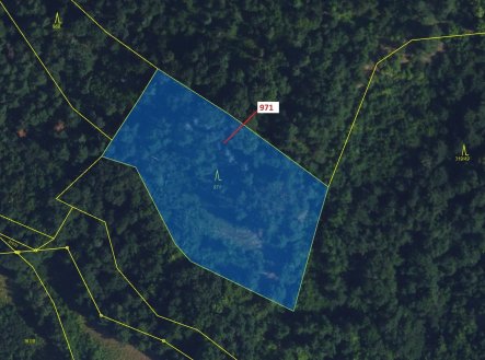 Prodej pozemku, les, 4 308 m²