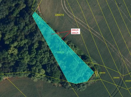 Prodej pozemku, les, 919 m²