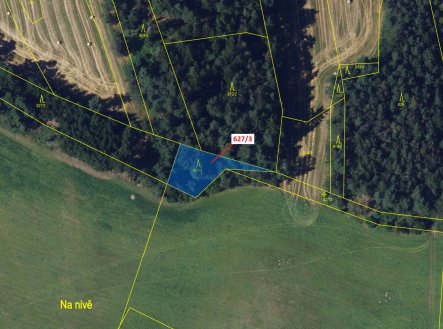 Prodej pozemku, les, 594 m²