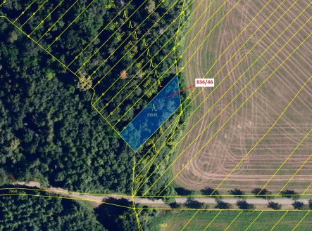 Prodej pozemku, les, 594 m²