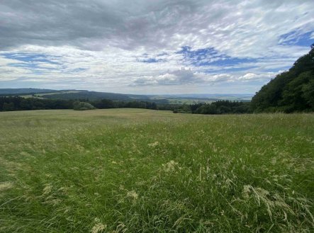 Prodej pozemku, trvalý travní porost, 7 545 m²