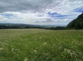 Prodej pozemku, trvalý travní porost, 7 545 m²