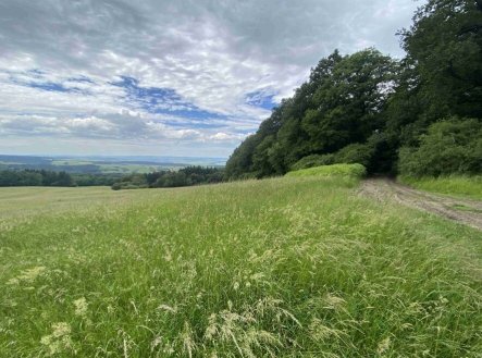 Prodej pozemku, trvalý travní porost, 7 545 m²