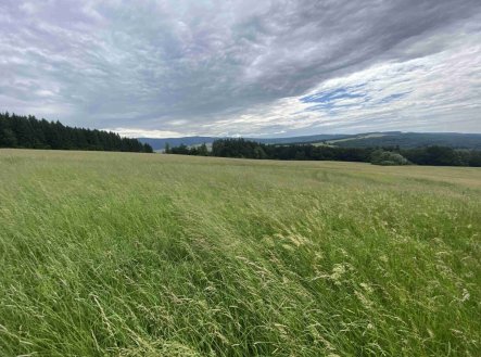 Prodej pozemku, trvalý travní porost, 7 545 m²