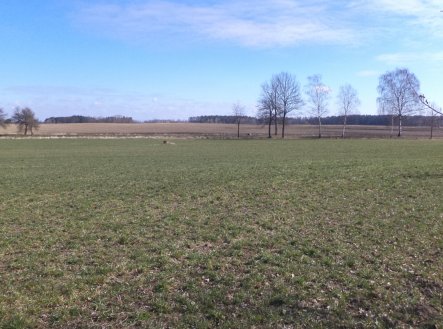 Prodej pozemku, zemědělská půda, 5 200 m²