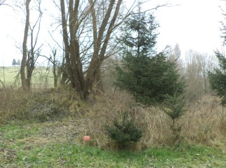 Prodej pozemku, ostatní, 1 390 m²