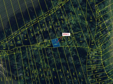 Prodej pozemku, les, 168 m²