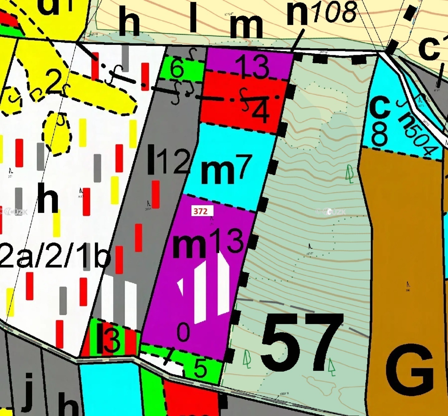 Lesní pozemek o výměře 16 547 m2, podíl 1/1, katastrální území Třešně u Záhoří, obec Záhoří, obec s