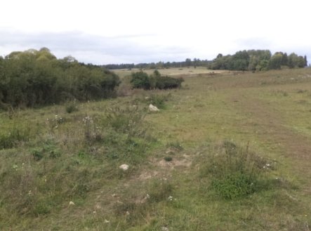 Prodej pozemku, zemědělská půda, 3 504 m²
