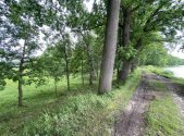 Prodej pozemku, trvalý travní porost, 1 639 m²