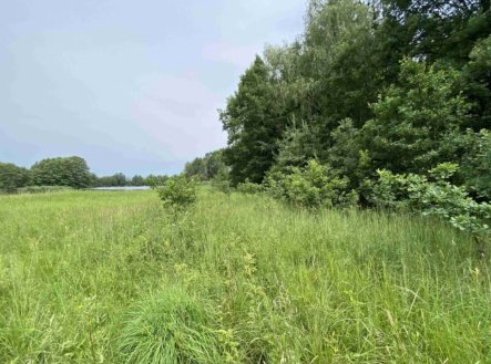 Prodej pozemku, trvalý travní porost, 1 639 m²