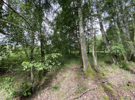 Prodej pozemku, trvalý travní porost, 1 639 m²
