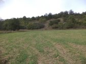 Prodej pozemku, trvalý travní porost, 22 441 m²