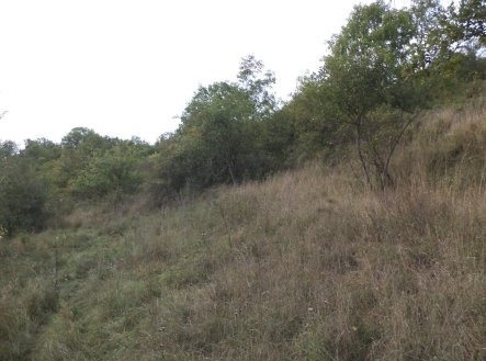 Prodej pozemku, trvalý travní porost, 22 441 m²
