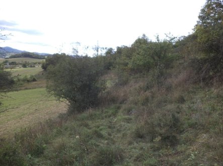 Prodej pozemku, trvalý travní porost, 22 441 m²
