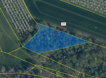 Prodej pozemku, les, 4 557 m²