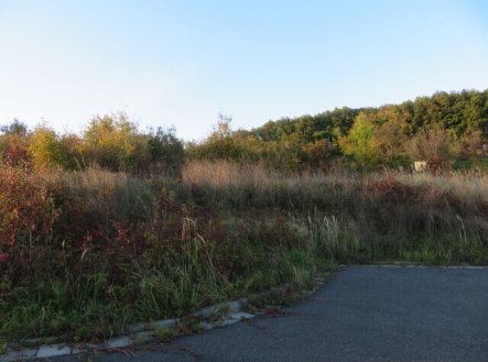 Prodej pozemku, trvalý travní porost, 6 503 m²