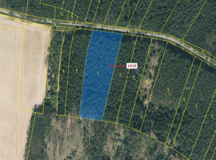 Prodej pozemku, les, 7 441 m²