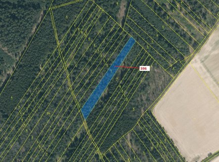 Prodej pozemku, les, 3 832 m²
