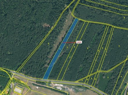 Prodej pozemku, les, 4 076 m²