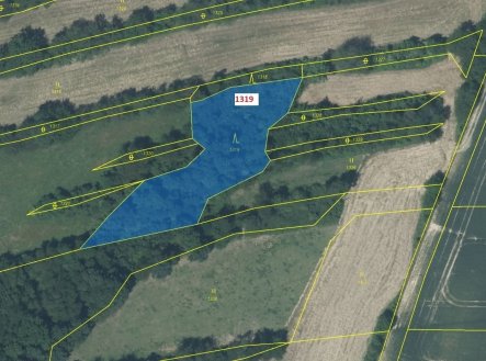 Prodej pozemku, les, 2 439 m²