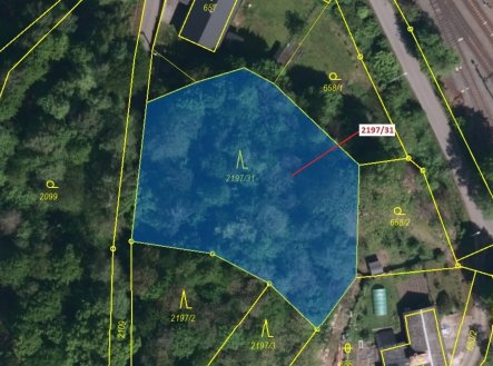 Prodej pozemku, les, 1 999 m²