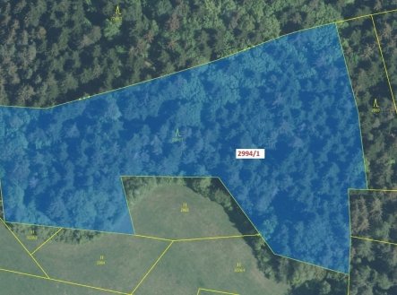 Prodej pozemku, les, 15 135 m²
