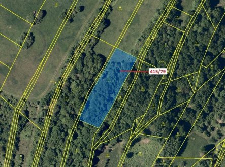 Prodej pozemku, trvalý travní porost, 2 523 m²