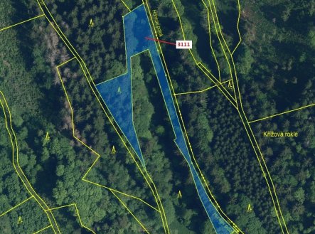 Prodej pozemku, les, 2 958 m²