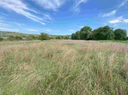 Prodej pozemku, trvalý travní porost, 782 m²