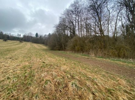 Prodej pozemku, trvalý travní porost, 7 826 m²