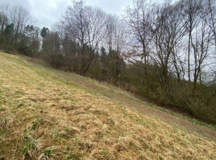 Prodej pozemku, trvalý travní porost, 7 826 m²