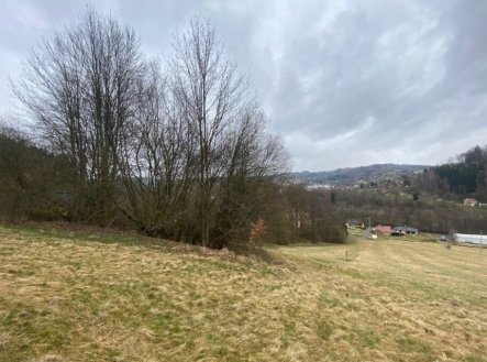 Prodej pozemku, trvalý travní porost, 7 826 m²