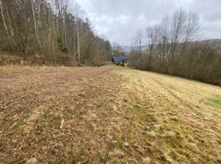 Prodej pozemku, trvalý travní porost, 7 826 m²