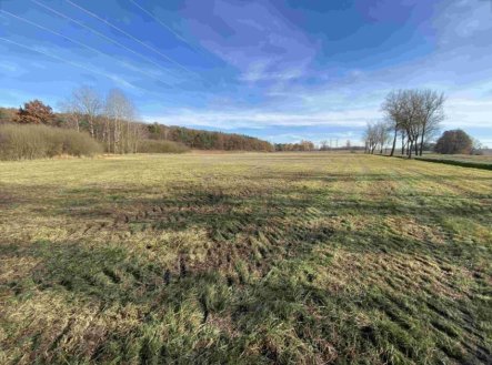 Prodej pozemku, trvalý travní porost, 2 663 m²