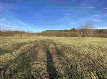 Prodej pozemku, trvalý travní porost, 2 663 m²