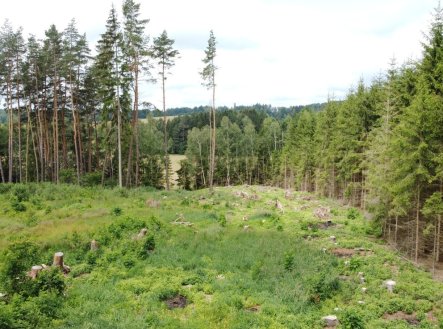 Prodej pozemku, les, 2 668 m²