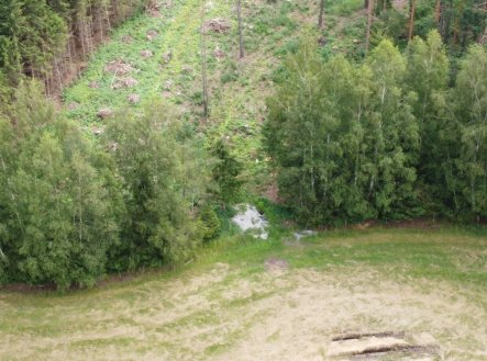 Prodej pozemku, les, 2 668 m²