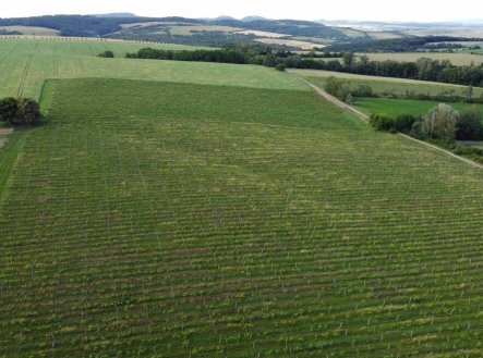 Prodej pozemku, zemědělská půda, 2 077 m²