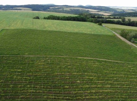 Prodej pozemku, zemědělská půda, 2 077 m²