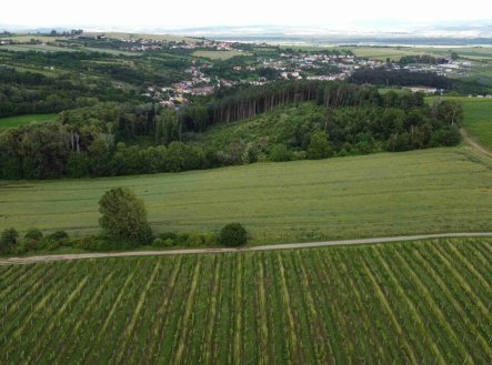Prodej pozemku, zemědělská půda, 2 077 m²