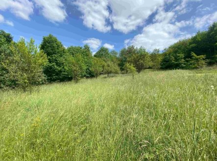 Prodej pozemku, trvalý travní porost, 2 790 m²